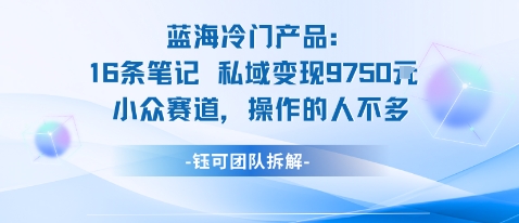 蓝海项目：16条笔记私域变现9750米小众赛道操作的人不多-摇钱述