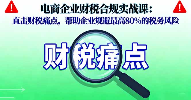 电商企业财税合规实战课，直击财税痛点，帮助企业规避最高80%的税务风险-摇钱述