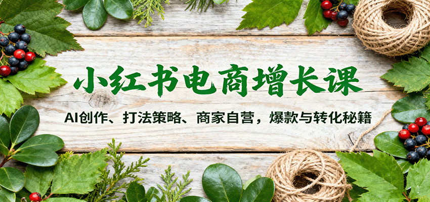 小红书电商增长课：AI创作、打法策略、商家自营，爆款与转化秘籍-摇钱述