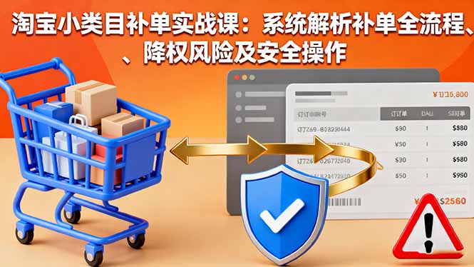 淘宝小类目补单实战课：系统解析补单全流程、降权风险及安全操作-摇钱述