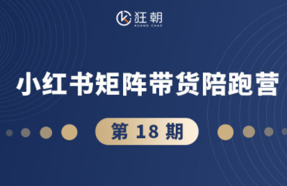 盗坤·抖音小红书视频号短视频带货与直播变现(11-18期)-摇钱述