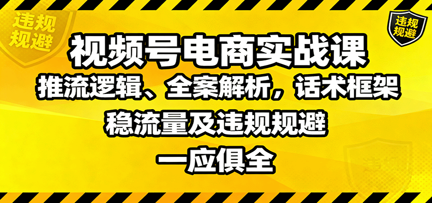 视频号电商实战课：推流逻辑、全案解析，话术框架，稳流量及违规规避等-摇钱述
