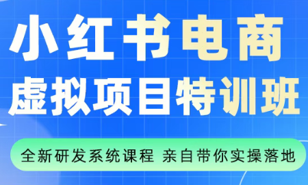 陆明明·小红书虚拟项目特训班(更新9月)-摇钱述