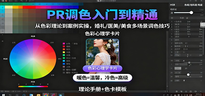 PR调色入门到精通:从色彩理论到案例实操,婚礼/医美/美食多场景调色技巧-摇钱述
