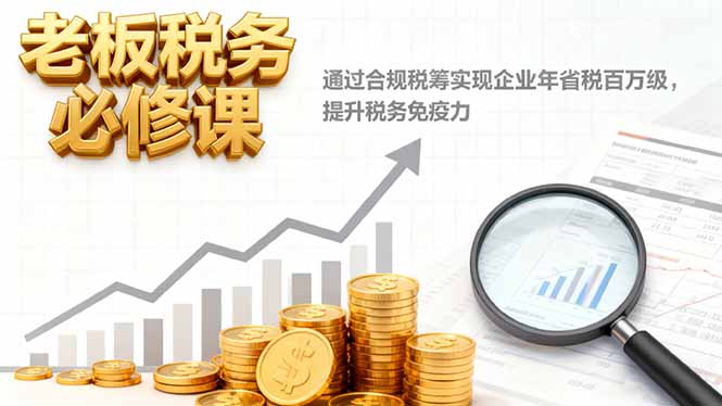 老板税务必修课,通过合规税筹实现企业年省税百万级,提升税务免疫力-摇钱述