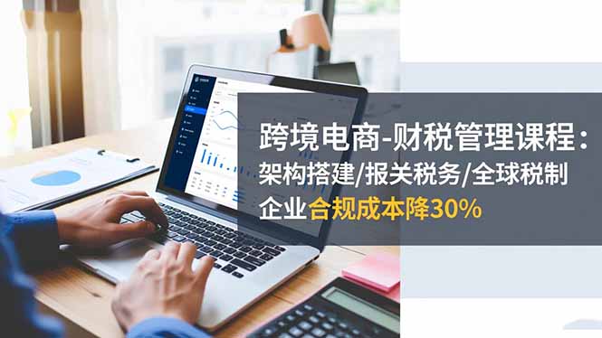 跨境电商-财税管理课程：架构搭建/报关税务/全球税制，企业合规成本降30%-摇钱述