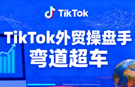 TikTok外贸操盘手(更新11月)-摇钱述